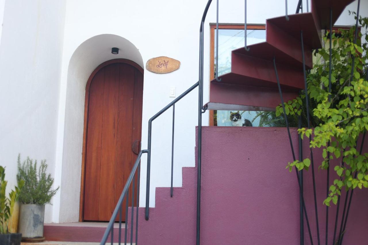 Cherry Suites Dalat المظهر الخارجي الصورة